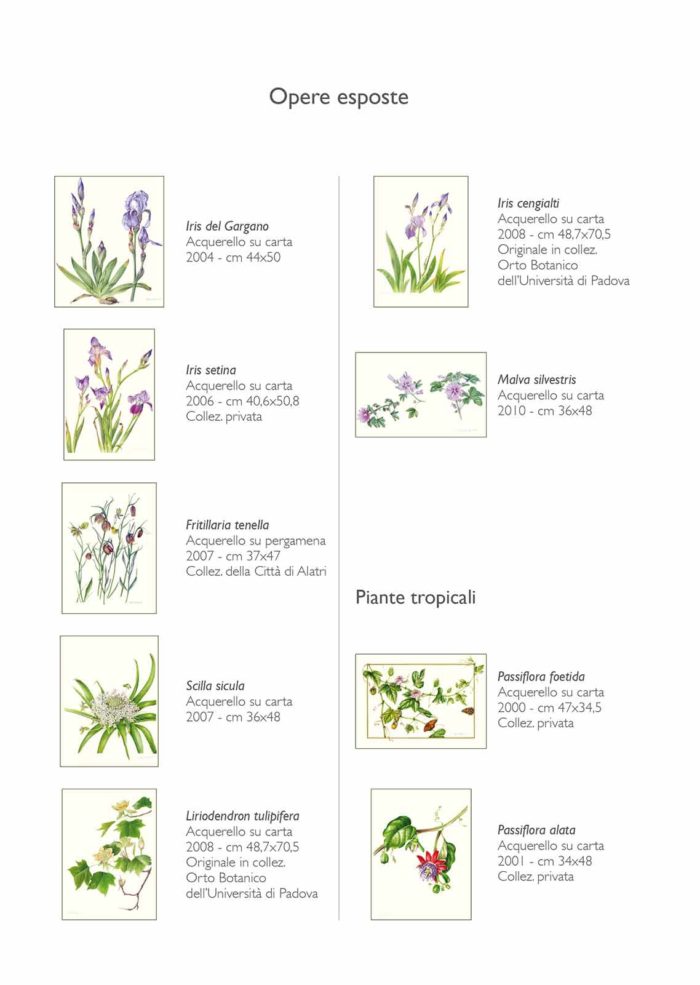 Catalogo - Ars Botanica - Pagina Interna 02