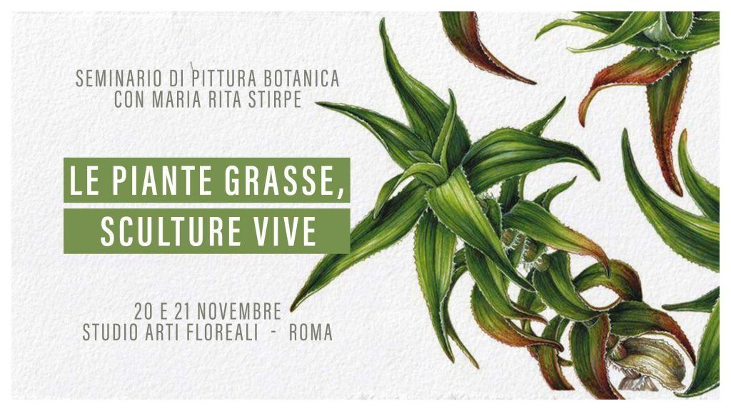 Le Piante Grasse, Sculture Vive - Roma - Novembre - 2021